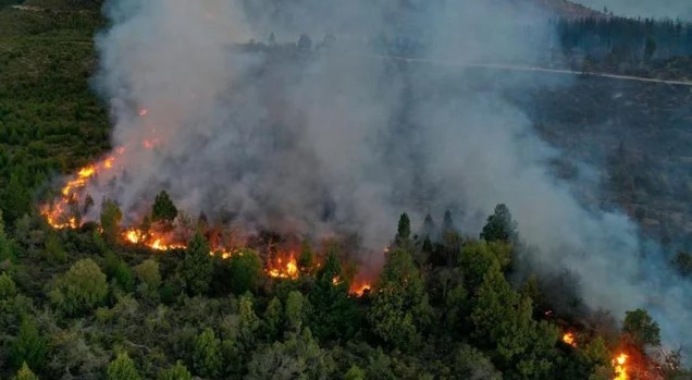 Weretilneck sostuvo que los incendios en la Patagonia "fueron intencionales" | Política