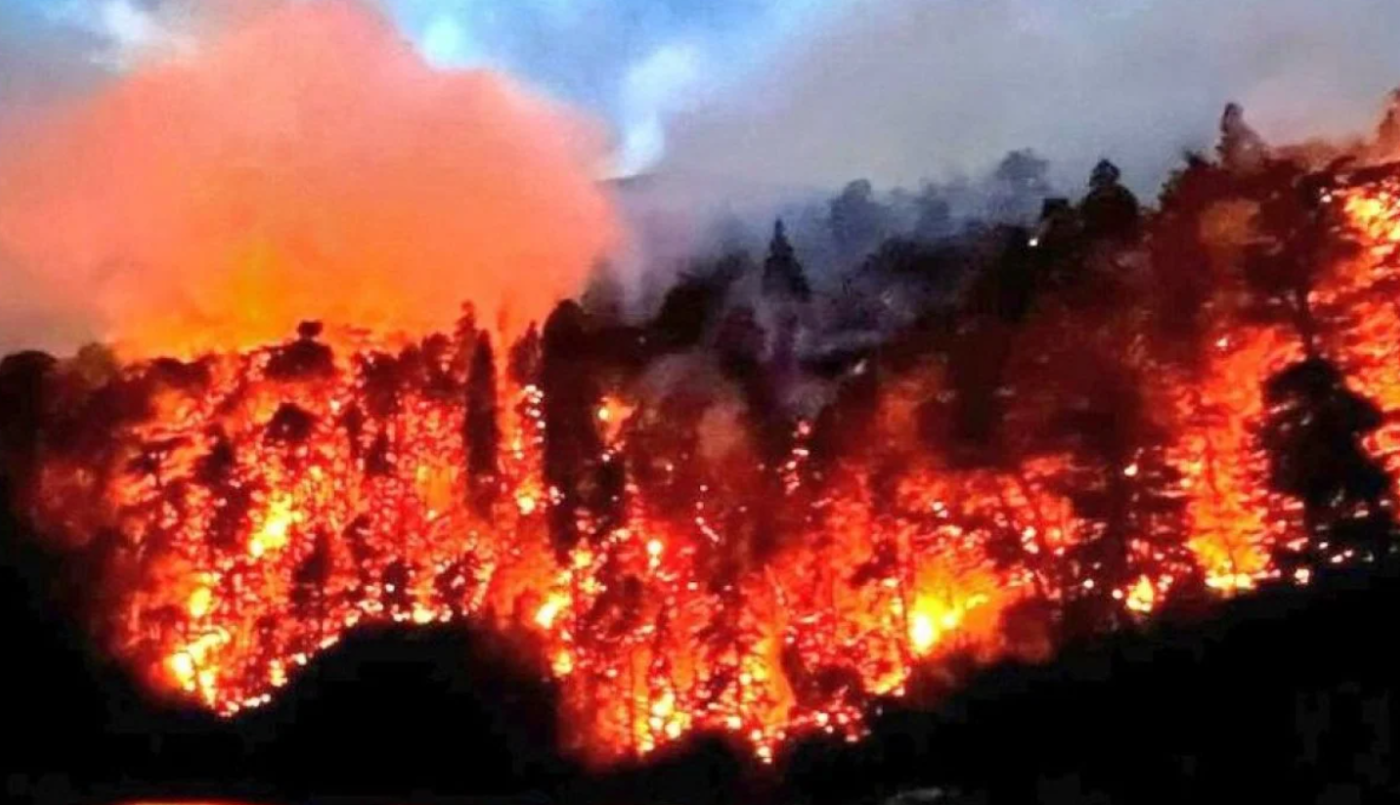 El incendio en el Parque Nacional Nahuel Huapi continúa activo: ya son más de 40 días de fuego | Actualidad