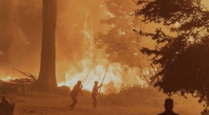 El Gobierno propone endurecer penas por incendios intencionales | Política