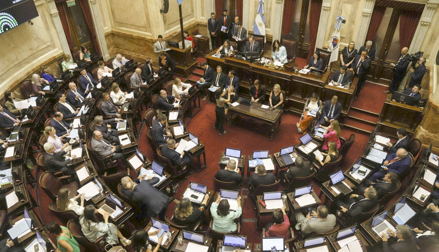 Senado: acuerdo entre el oficialismo y dialoguistas para avanzar con la suspensión de las PASO | Política
