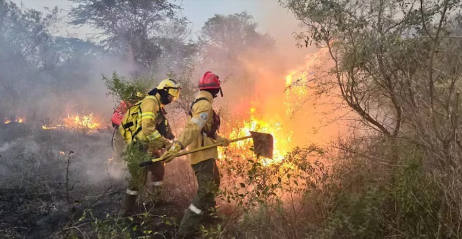 Corrientes ya no tiene focos activos de incendios | Clima, naturaleza y medio ambiente