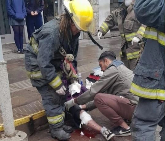 Preocupan en Bariloche los ataques de perros sueltos | Actualidad