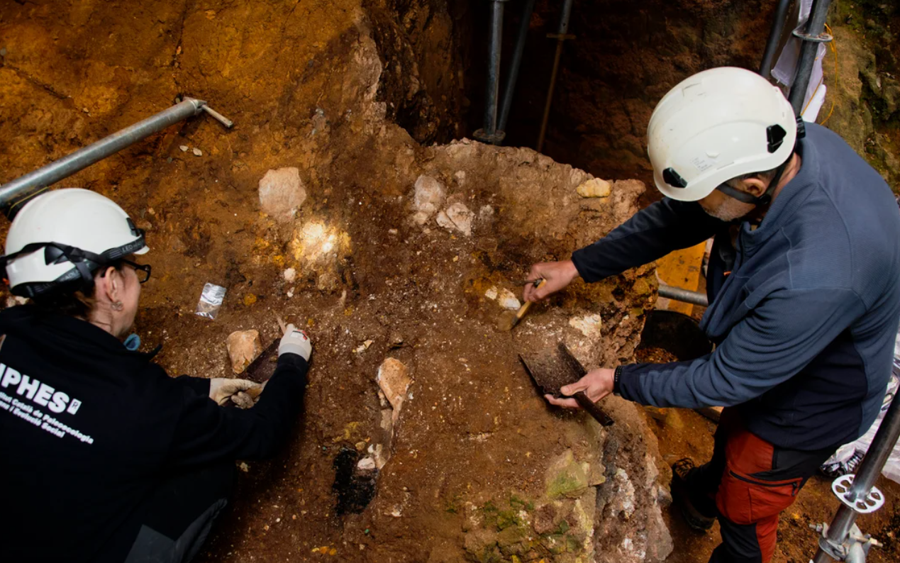 Descubrieron el rostro humano más antiguo: data de más de un millón de años | Internacionales