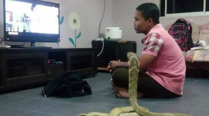 El hombre que se casó con una serpiente porque cree que es la reencarnación de su mujer | Curiosidades