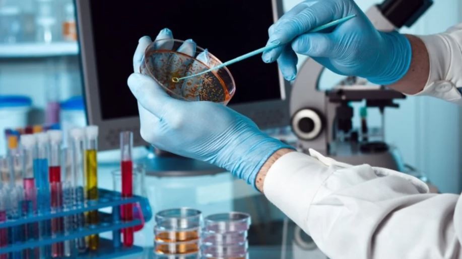 Día Mundial de la Tuberculosis: investigación de la UBA en nanotecnología para optimizar tratamientos | Actualidad