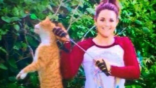 Suspendieron a la veterinaria que mató de un flechazo al gato de su vecino | Curiosidades