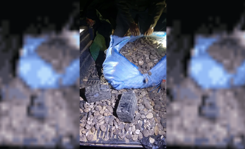 Jujuy: el perro antinarcóticos "Yin" halló 44 kilos de cocaína escondidos en bolsas de papas | Actualidad