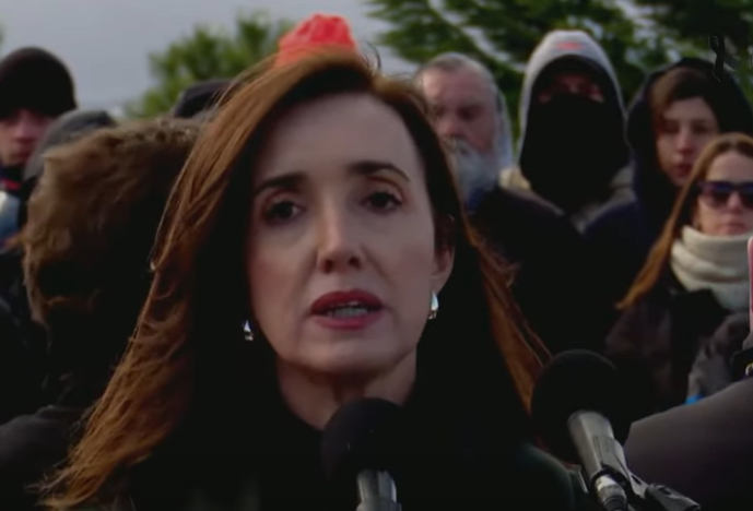 Villarruel pidió iniciar "un proceso de malvinización" y proteger de "las potencias que saquean" | Política