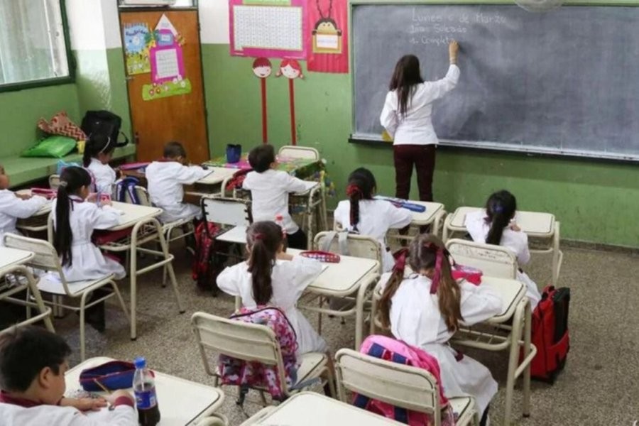 Uno de cada 2 alumnos de primaria habla de violencia doméstica en la escuela | Actualidad