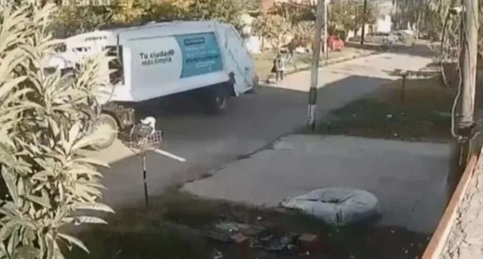 El chofer del camión de basura que atropelló y mató a una barrendera en La Plata quedó detenido | Actualidad