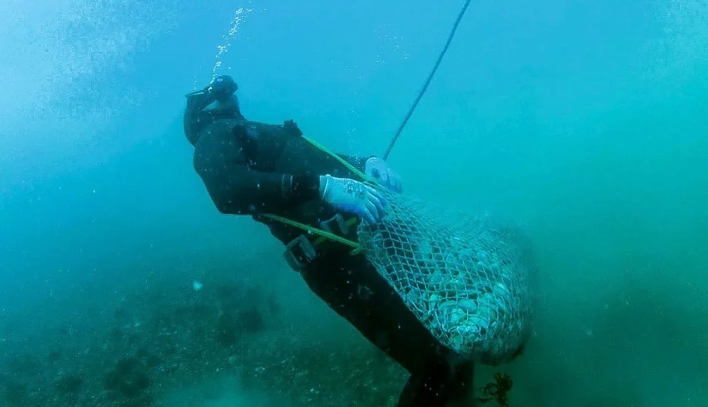 Un pescador murió mientras buceaba en Chubut | Actualidad