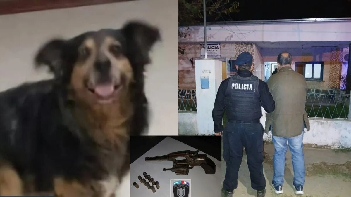 Un hombre mató de un tiro al perro del vecino y quedó detenido | Actualidad