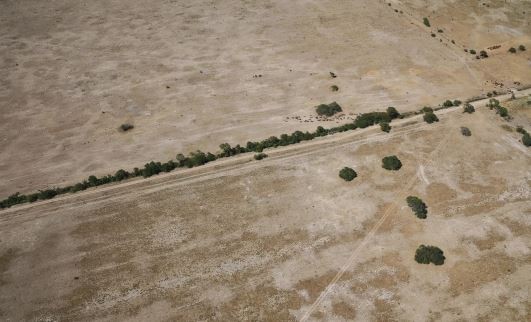 El Gobierno declaró la emergencia agropecuaria para Chaco y Santa Fe | Economía