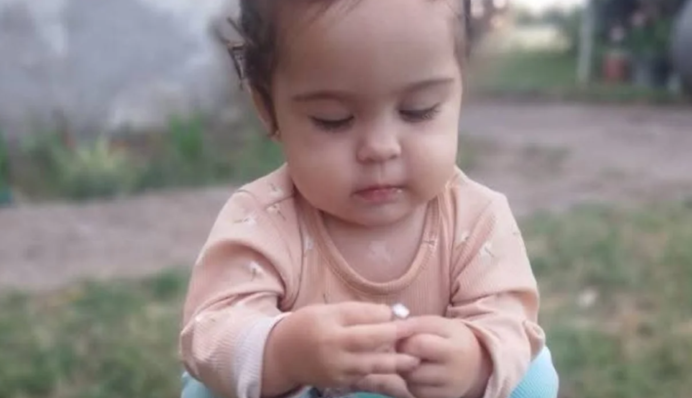 Analizarán el ADN de restos biológicos hallados para determinar si son de Delfina Hecker | Actualidad