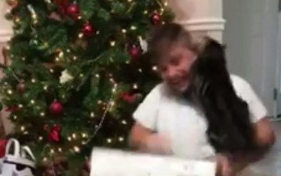 Video viral: la furia del gato por el regalo de Navidad de su dueño | Curiosidades