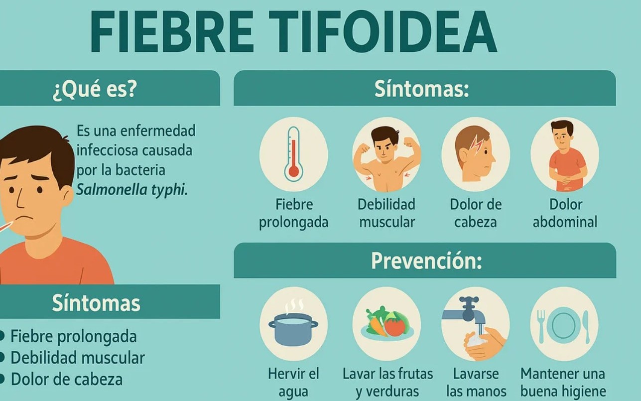 Brote de fiebre tifoidea en el AMBA: seis personas internadas, dos en estado grave | Actualidad