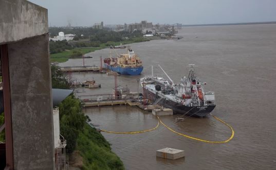 Sube 11% el volumen de exportación de productos agroindustriales | Economía