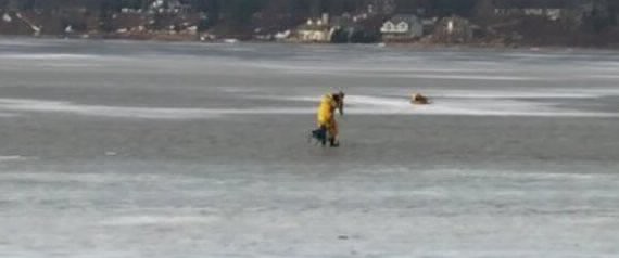 El heroico rescate de un perro de un lago helado de Estados Unidos | Curiosidades