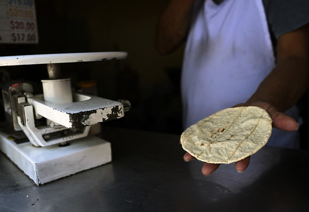 Desarrollan una tortilla contra la desnutrición y falta de heladeras | Internacionales