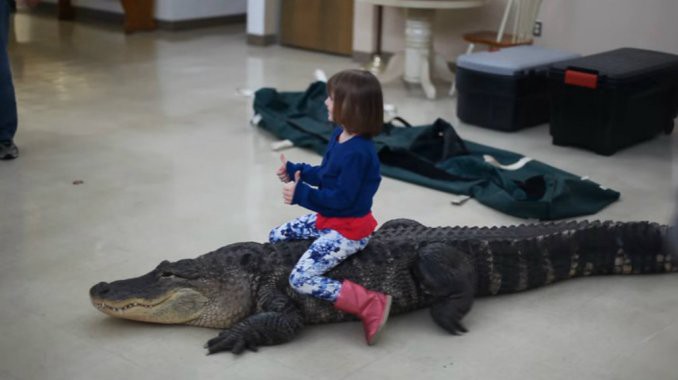 La nena que pasea montada en el lomo de un lagarto | Curiosidades