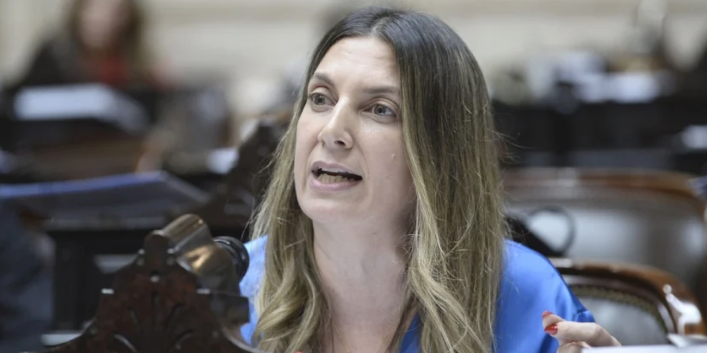 Lospennato: "Se cometieron una serie de delitos graves" | Política