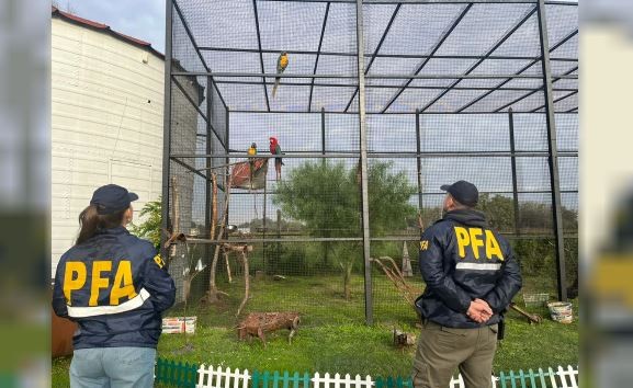 Rescataron de un zoológico clandestino a animales en cautiverio | Actualidad