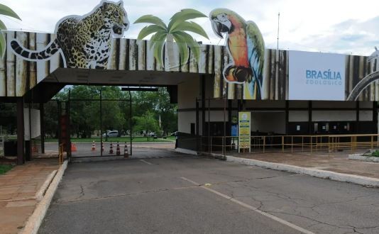 Brasilia cierra el zoológico y despliega una barrera sanitaria preventiva ante la gripe aviar | Internacionales