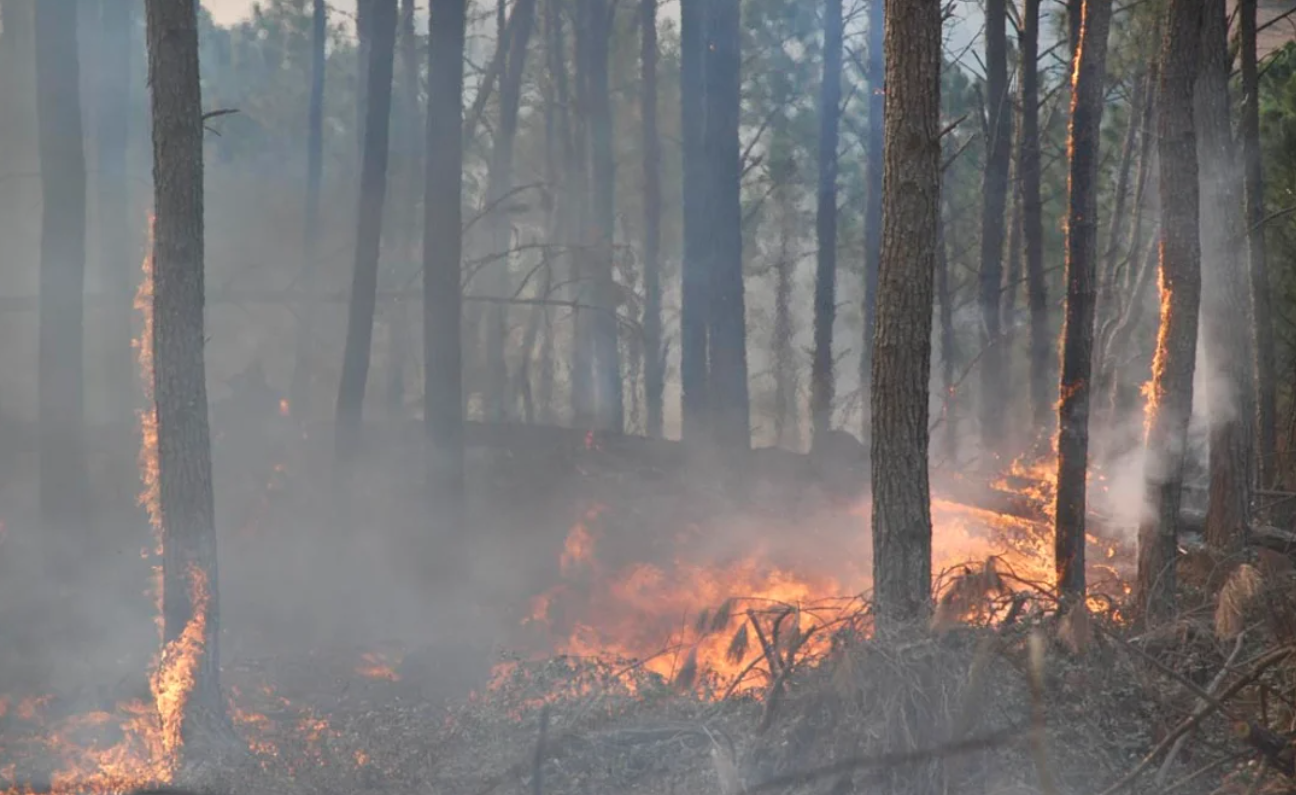 Declaran el "estado de alerta ambiental" en Córdoba por riesgo de incendios | Actualidad