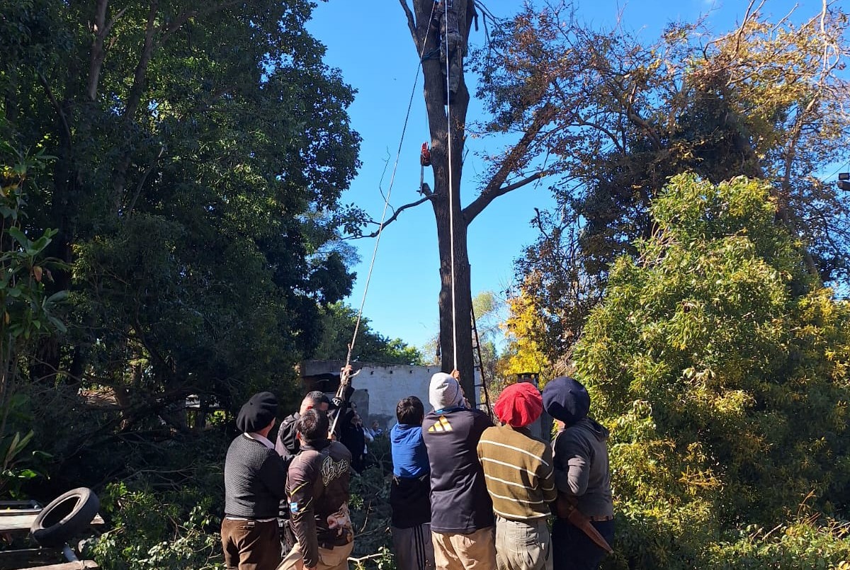 La policía rescató a un hombre que quedó colgado de un árbol mientras podaba | Actualidad