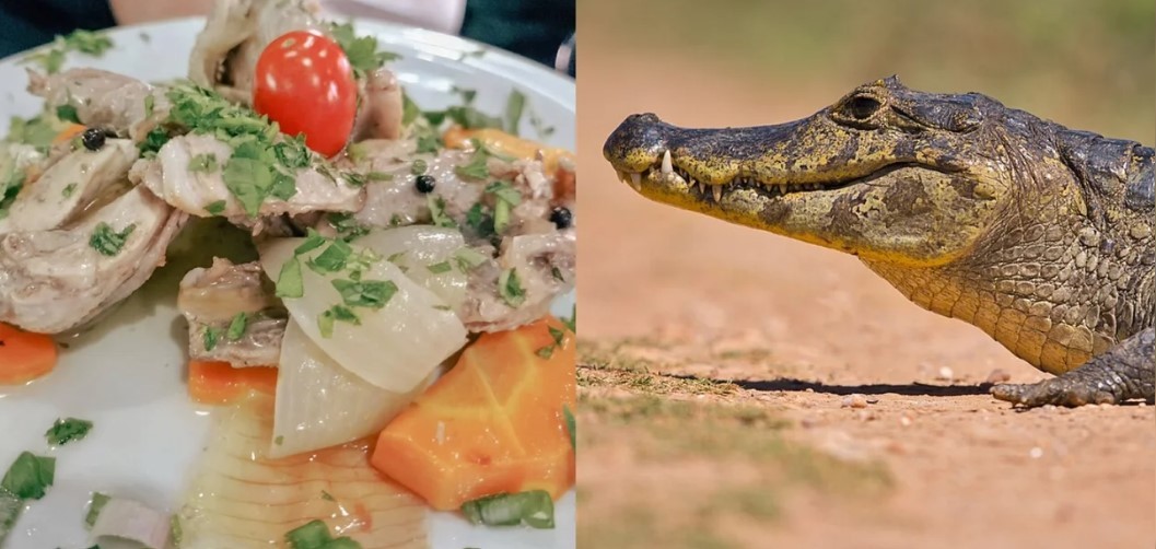 Clausuran un restaurante porteño que vendía carne de carpincho, yacaré y ranas | Actualidad