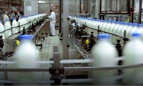 Una histórica empresa láctea enfrenta reclamos por salarios impagos y detener la producción | Economía