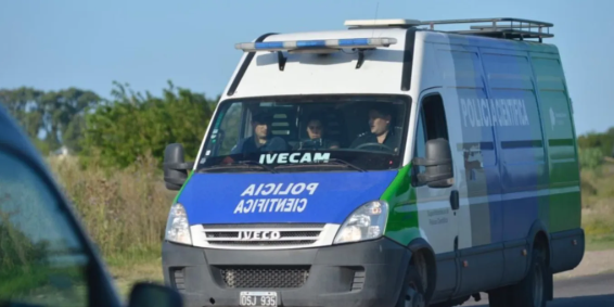Cubierto de mordeduras, hallaron muerto en un campo a un nene de 2 años tras horas de búsqueda | Actualidad