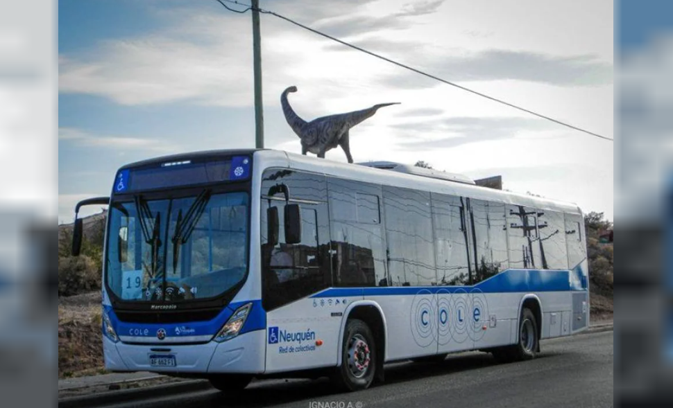 Abusó de una pasajera, el colectivero cerró las puertas y lo llevó a la comisaría: fue imputado | Actualidad