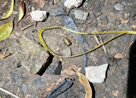 Los Hornos: un policía se tiroteó con motochorros, uno huyó y el otro murió | Actualidad