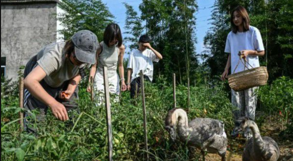 Ni hombres, ni estrés: comunidades 100% femeninas se multiplican en China | Internacionales