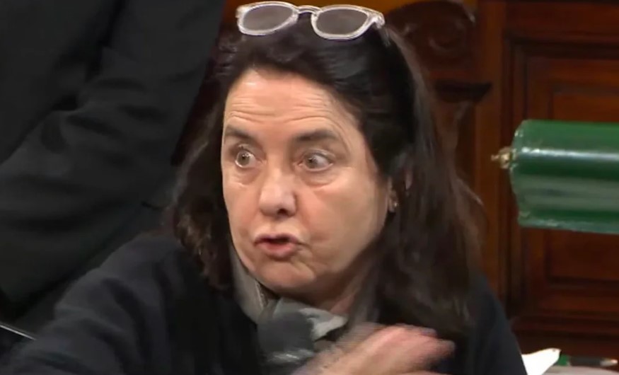 "No creo que los niños tengan derecho a ser curados en el Garrahan": polémica frase de una senadora | Política