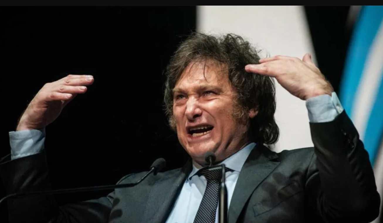 Milei: "La estrategia del kirchnerismo es destruir el plan económico o intentar matarme" | Política