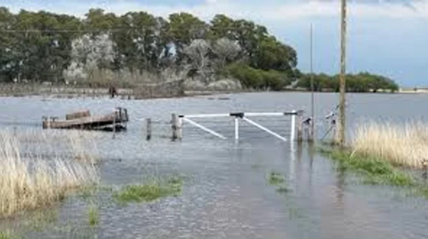 Declaran la emergencia agropecuaria en Buenos Aires y San Juan | Economía