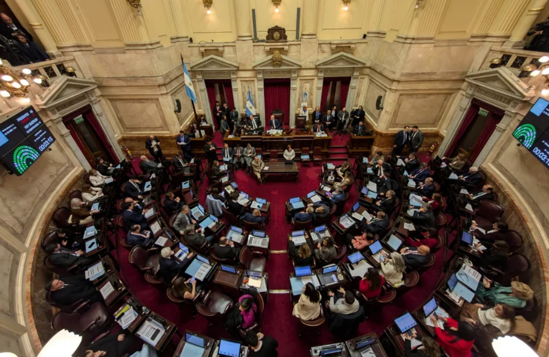 El Senado inició la sesión en la que rechazará el veto a la emergencia en Discapacidad | Política