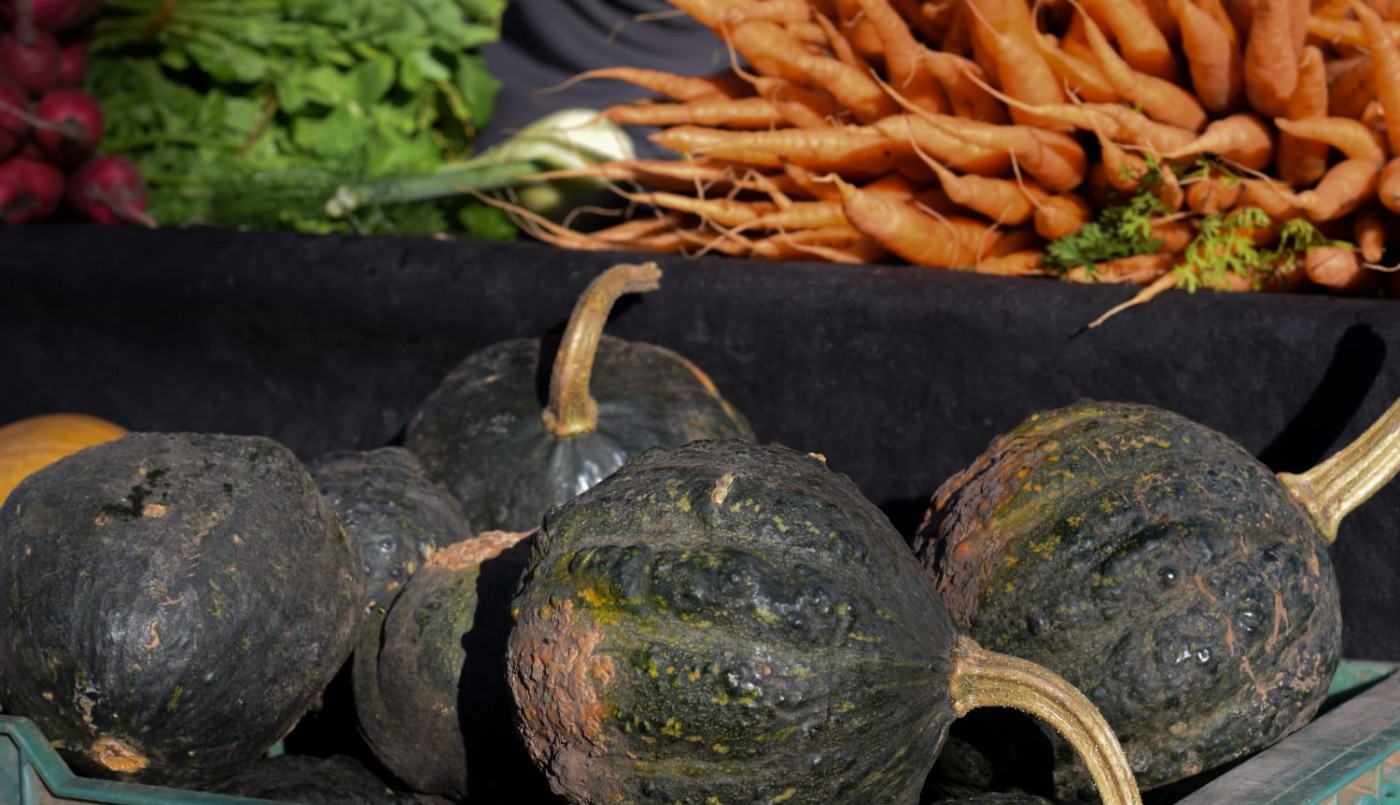 La Facultad de Agronomía abre su predio este fin de semana para una nueva edición de la Feria del Productor al Consumidor | Actualidad