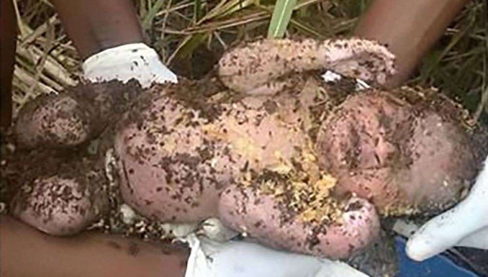 Milagro: rescatan a un bebé tres días después de que su madre lo enterrara vivo | Curiosidades
