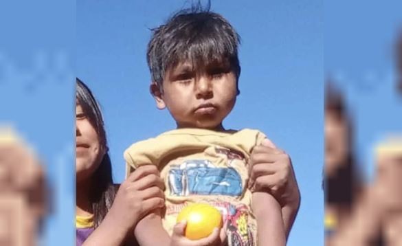 Renunció la fiscal del caso Lian, el niño desaparecido hace más de seis meses en Córdoba | Actualidad