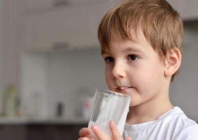 Plan 1000 días (ex Complemento Leche): cuáles son los montos con aumento | Economía