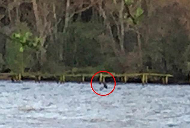 La nena que sacó las mejores fotos del monstruo del lago Ness de los últimos años | Curiosidades