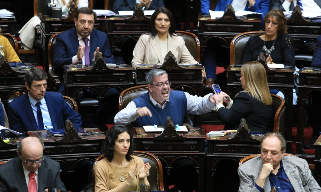 Diputados: la oposición avanzará con el tratamiento de la ley que limita los DNU | Política