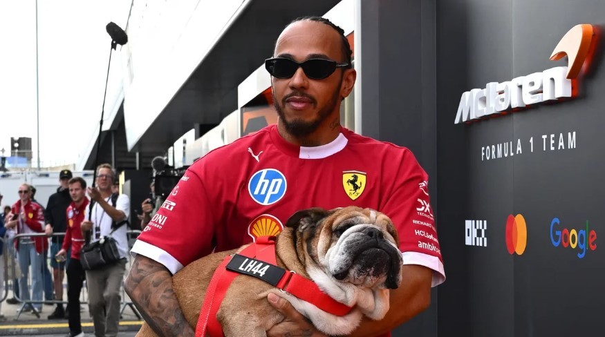 Falleció Roscoe, el perro que acompañó a Lewis Hamilton durante toda su carrera | Deportes
