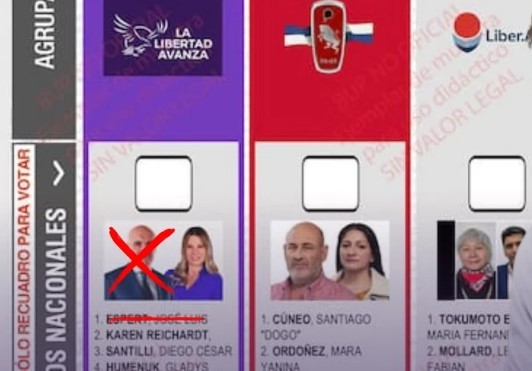 La Libertad Avanza pedirá la reimpresión de las boletas y aguarda la definición de la Justicia Electoral | Política