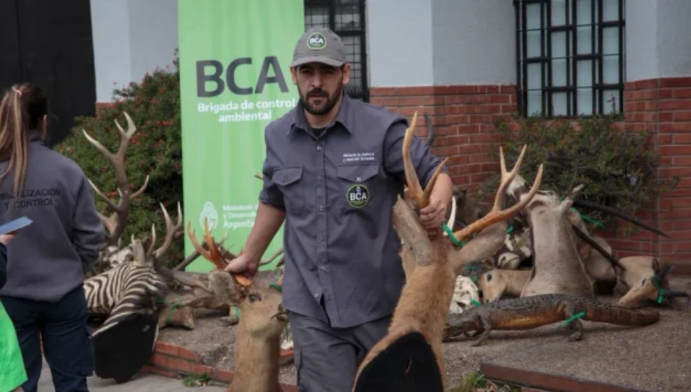 Un argentino que desmanteló una red de caza ilegal y tráfico de fauna recibirá un importante premio mundial | Actualidad