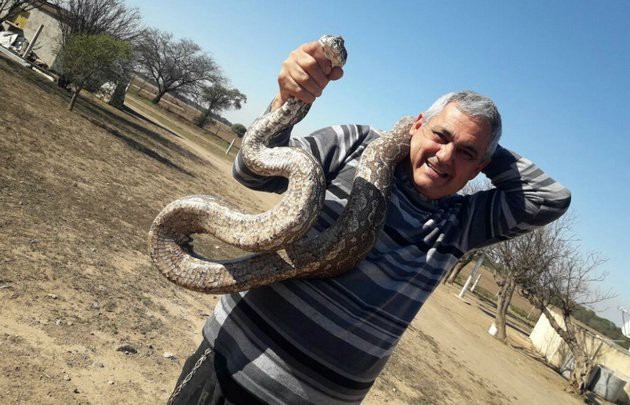 Una familia encontró cinco serpientes gigantes en una escuela de Córdoba | Curiosidades