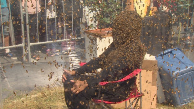 Video: pasó 61 minutos con la cara cubierta de abejas y rompió el rércod Guinness | Curiosidades